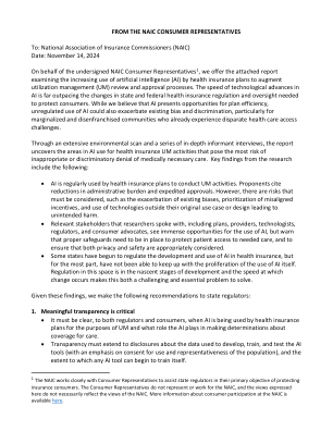 人工智能与健康保险消费者代表报告 - 消费者联络委员会 - 11/19/24-FNM